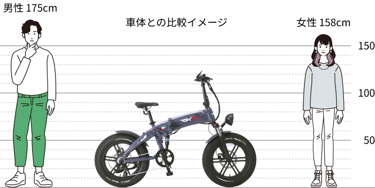 車体との比較イメージ
