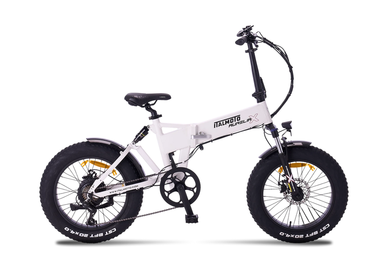 AURELIA-X
