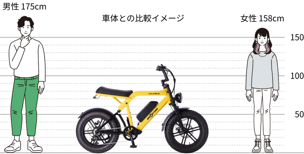 車体との比較イメージ