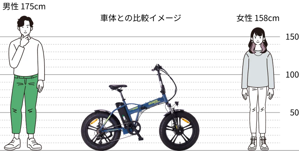 車体との比較イメージ