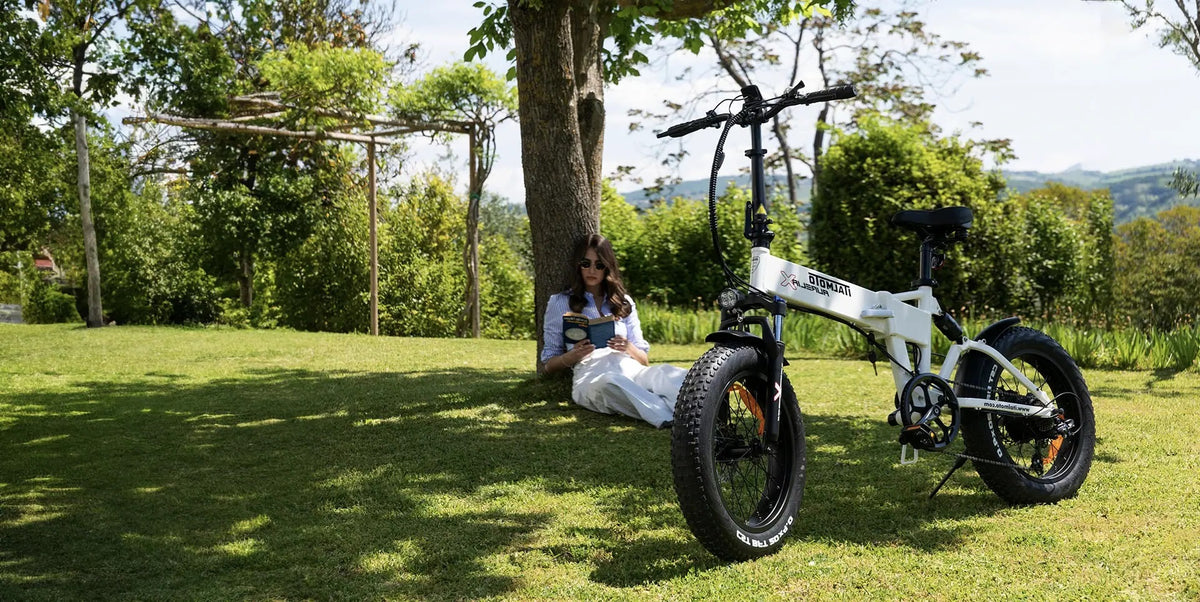 アウレリア・エックス