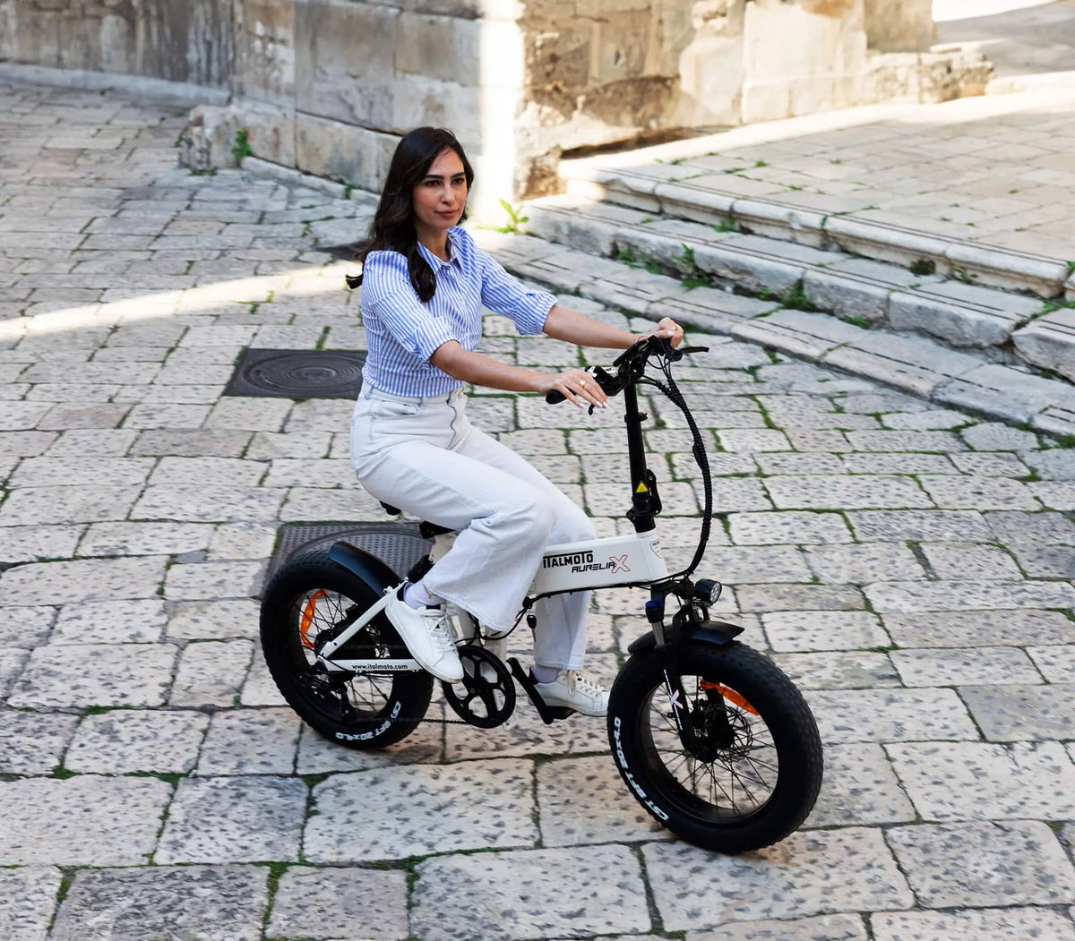 どんな道でも走り抜けるファットタイヤ