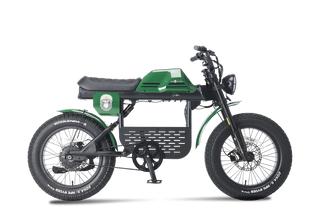 GIBBON 5