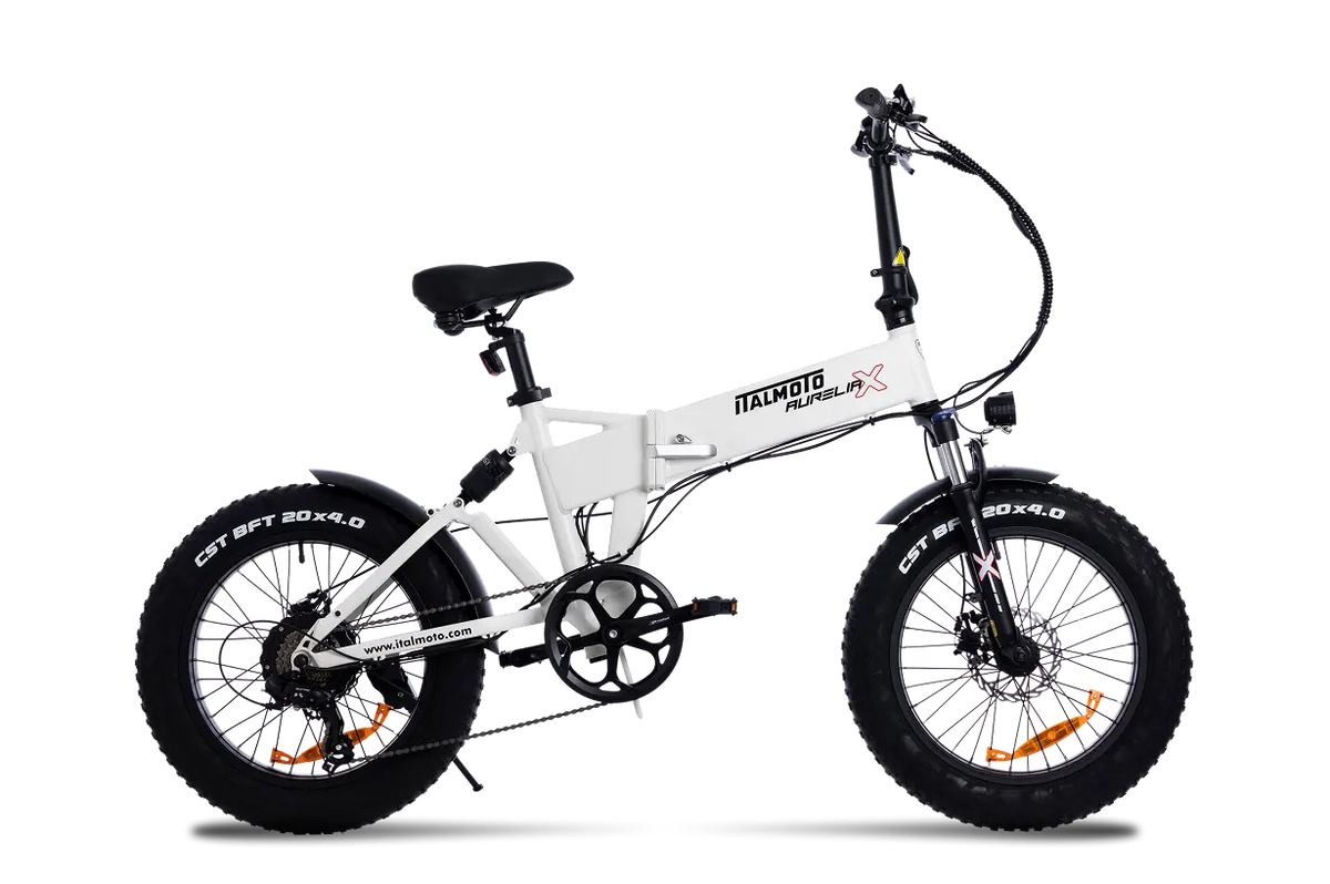 AURELIA-X 1
