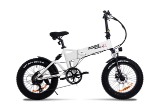AURELIA-X 1