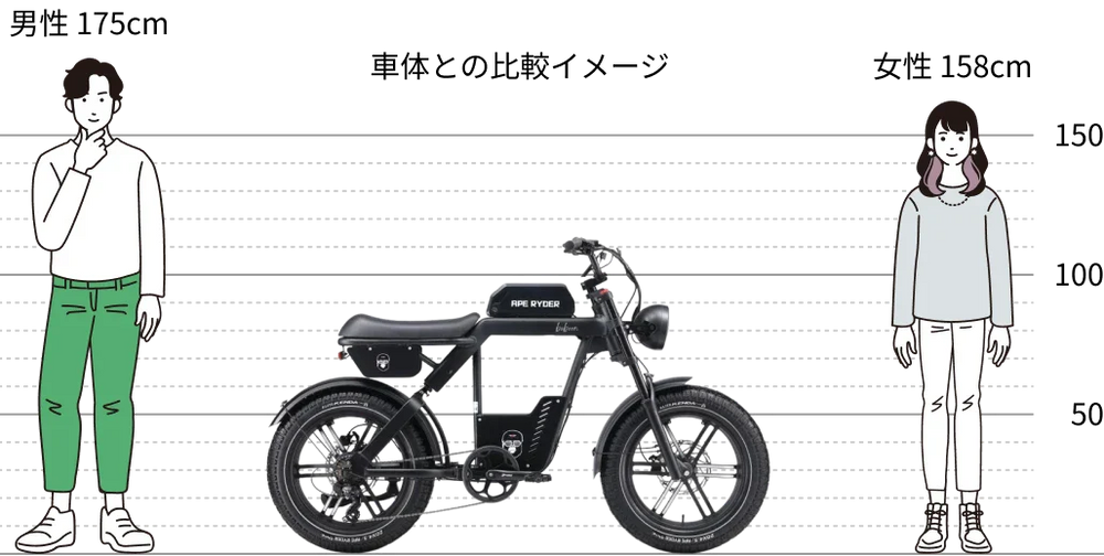 車体との比較イメージ