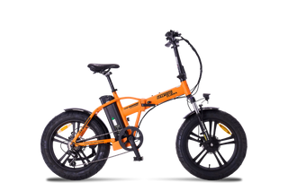 Clodia Dynamic 3
