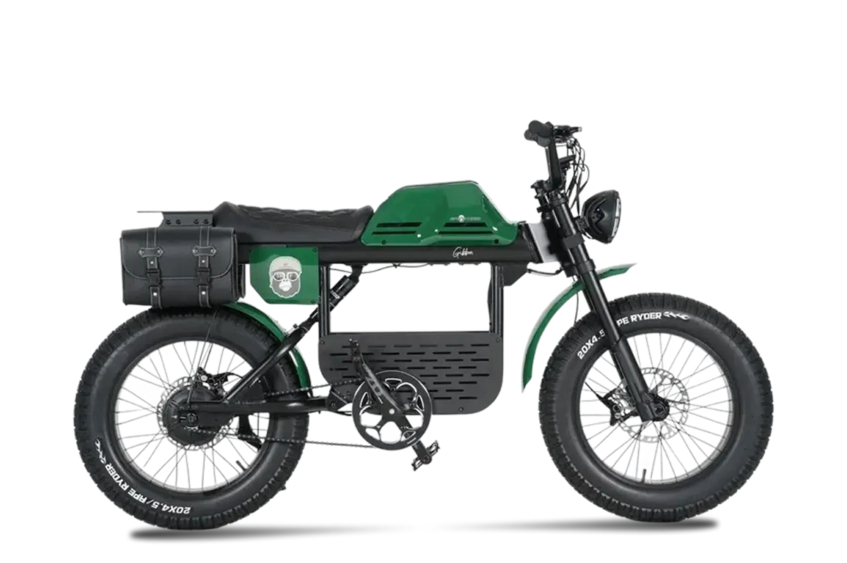 GIBBON 5