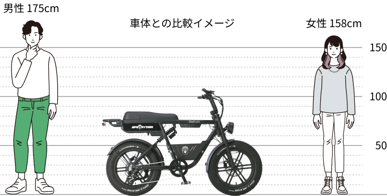 車体との比較イメージ