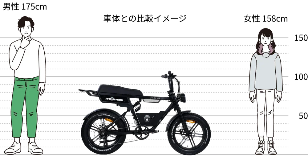 車体との比較イメージ