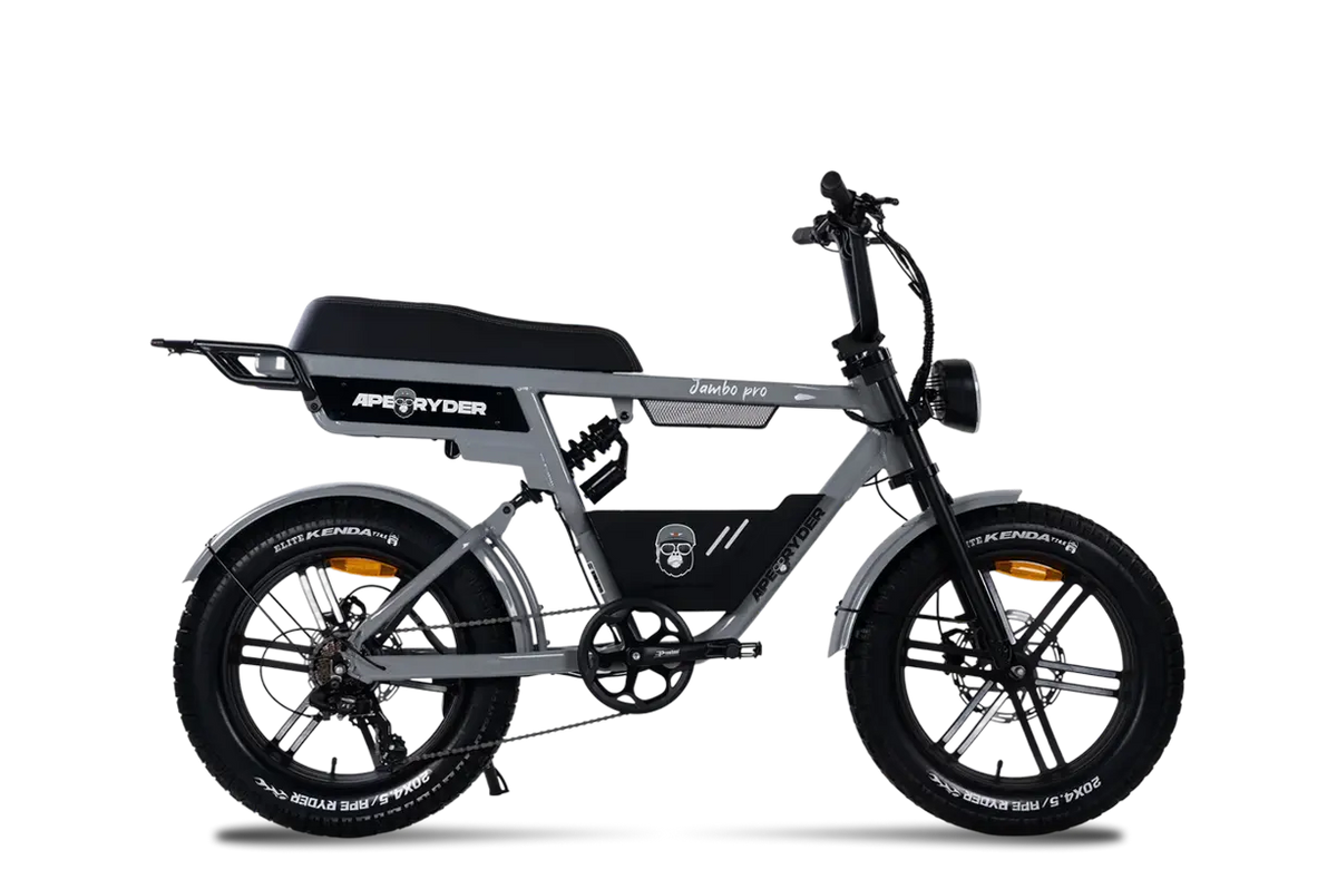 JAMBO PRO 2