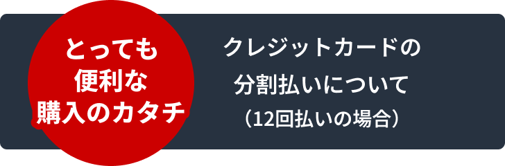 クレジットカードの分割払いについて（12回払いの場合） とっても便利な購入のカタチ